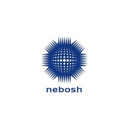 National Examination Board in Occupational Safety and Health (NEBOSH)